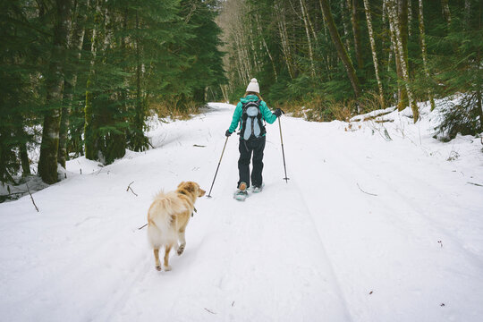 Rear view of woman with dog skiing on snow covered field