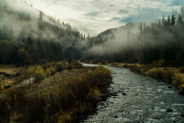 Scenic view of stream flowing by mountains in forest during foggy weather
