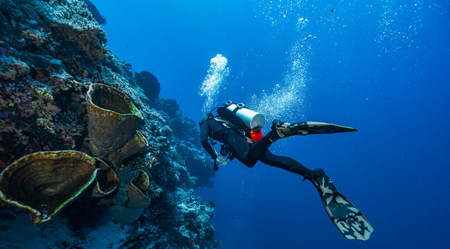 diver exploring a reef at Banda Sea / Indonesia