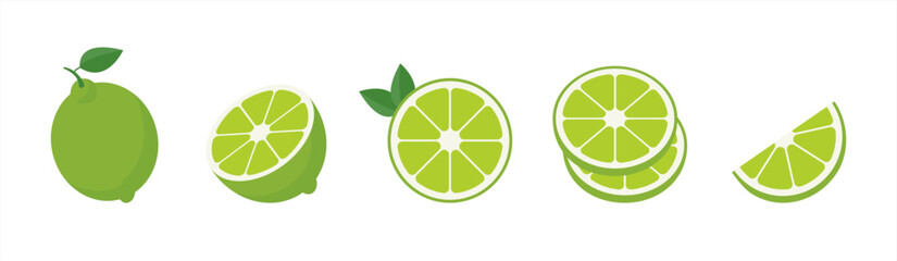 Vector lime slice green illustration lemon isolated half fruit lime. Fresh green cut citrus icon. Vector 10 eps. - obrazy, fototapety, plakaty