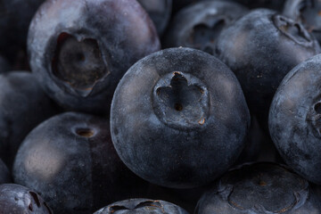 Blueberries on stone plate background
