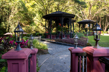 Naklejka premium Garden light in the home garden./ Garden light in the home garden.