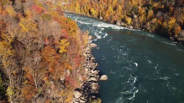 aerial view over the Niagara Glen Nature Reserve and the river at the Niagara Whirlpool on the Canadian side with the trees in full fall colors.
