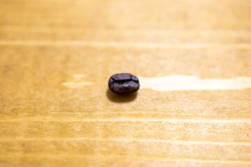 一粒の自家焙煎コーヒー豆