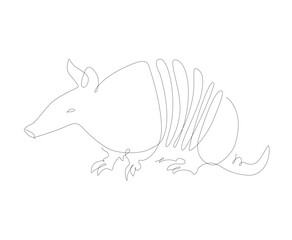 Armadillo one line illustration. Single line art unusual animals.