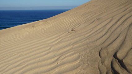 Fototapeta na wymiar Wilde und schöne Ostküste von Fuerteventura auf den Kanarischen Inseln