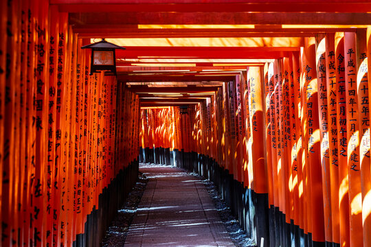 Red torii along a path at the Fushimi Inari shrine in Kyoto.