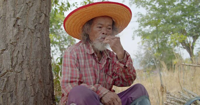 Asian farmer which is the elderly native, white beard, working on the farm, sitting, smoking, made of tobacco, wrapped in Nypa palm leaves. 