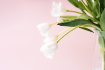 Bouquet of white tulips in glass vase against pink background.