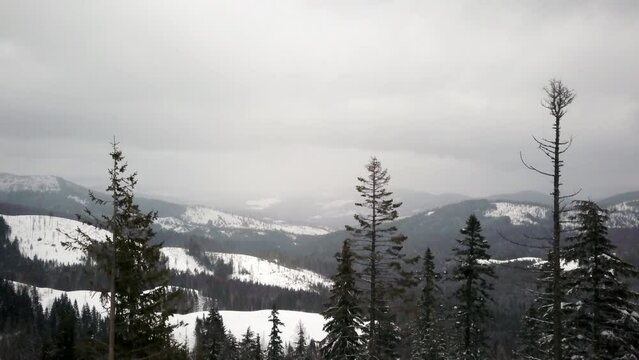 Spokane Washington drone up trees snow fog winter moody ski resort in forest