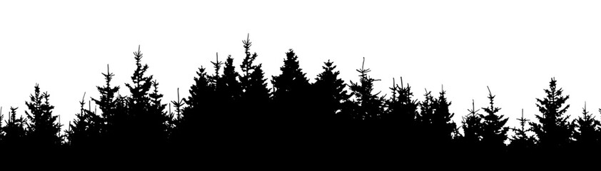 Realistic forest vector illustration wide panorama landscape - Black silhouette of fir and spruce woods trees, isolated on white background long