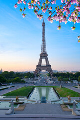 Obraz premium eiffel tour and from Trocadero, Paris