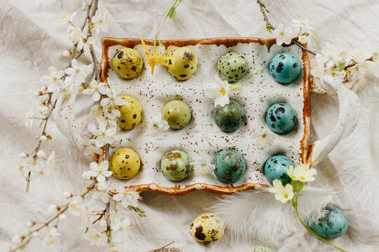 Rustic easter flat lay. Stylish easter eggs and blooming spring flowers on linen fabric. Happy Easter! Natural painted quail eggs in tray, feathers and cherry blossoms on rural table