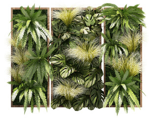 3D illustration Vertical Garden plant