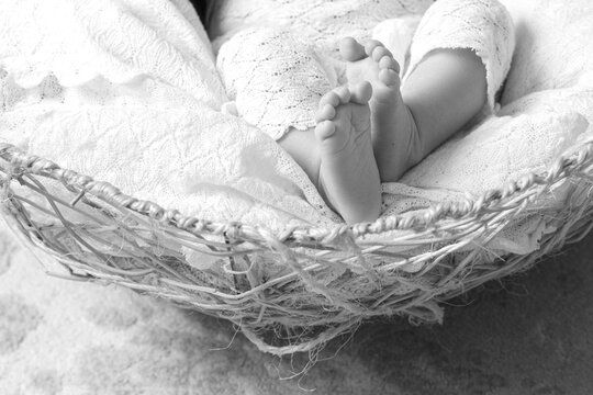 Detail of a newborn baby feet with soft white blanket. Close up picture of new born baby feet on knitted plaid. Black and white image