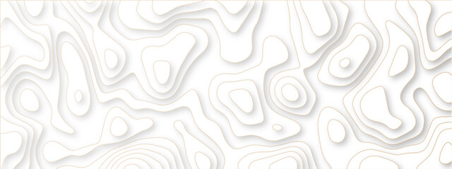 Fototapeta premium Abstract wavy line 3d paper cut white background. Topographic canyon geometric map relief texture with curved layers and shadow. Abstract realistic papercut decoration textured with wavy layers