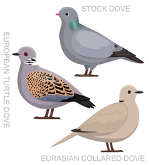 Fototapeta na wymiar Cute Bird Eurasian Collared Dove Set Cartoon Vector