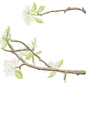 branch of a tree