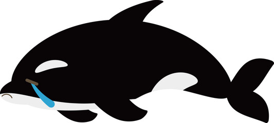 ゆるかわなシャチ　泣く © ベルベットR