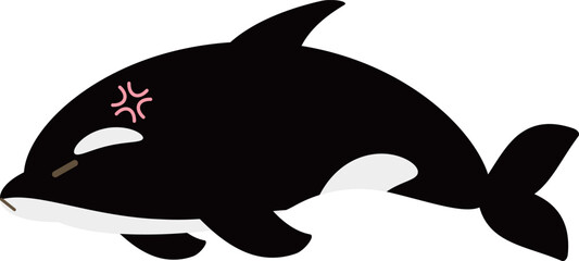 ゆるかわなシャチ　怒る