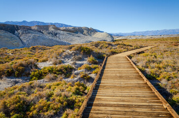 Fototapeta na wymiar Boardwalk Trail, Death Valley National Park