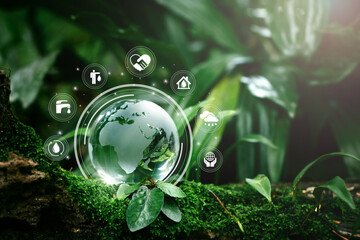 Globe Glass with save water icons In Green Forest With Sunlight. environment day and water...