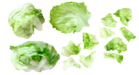 Cabbage lettuce isolated on transparent, white background 