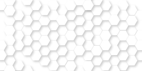 Abstract background with geometric . Background with hexagons . Abstract background with lines . white texture background . white and hexagon abstract background. white paper texture and futuristic .