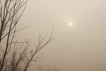 Sunrise over swamp in thick fog.
Foggy dawn. Autumn landscape