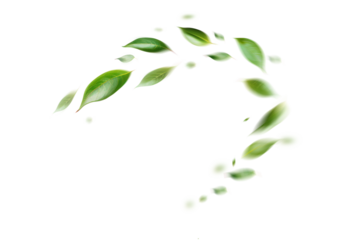Green Floating Leaves Flying Leaves Green Leaf Dancing, Air Purifier Atmosphere Simple Main Picture.
