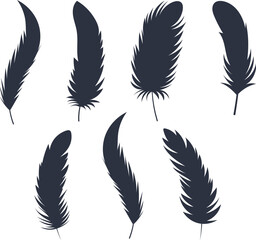 Feathers silhouette