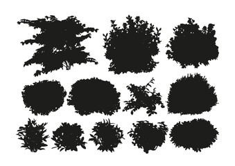 Set of vector bushes silhouettes