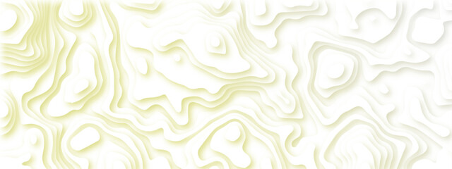 Abstract wavy line 3d paper cut white background. Topographic canyon geometric map relief texture with curved layers and shadow. Abstract realistic papercut decoration textured with wavy layers