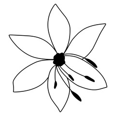 Flowers Sketch