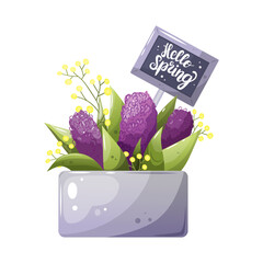 Vector collection of spring bouquet. Cute floral greeting cups with hello spring inscription. Spring isolated vector illustration with a mug and a bouquet of hyocinths.