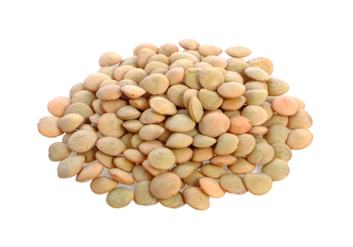 lentils isolated on  transparent png
