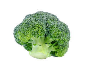 Broccoli on  transparent png