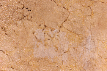 Brown cracked old texture rough wall. Surface texture close up