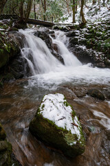 うっすらと雪化粧した森の中を流れる渓流と滝