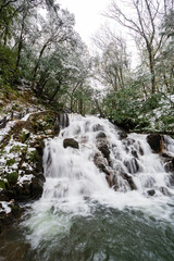 うっすらと雪化粧した森の中を流れる渓流と滝