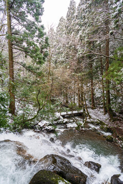 うっすらと雪化粧した森の中を流れる渓流と滝