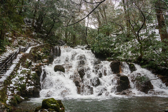 うっすらと雪化粧した森の中を流れる渓流と滝