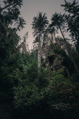 Fototapeta na wymiar Adršpach Rocks - Adršpach-Teplice Rocks Nature Reserve, Czech Republic - jungle, forest
