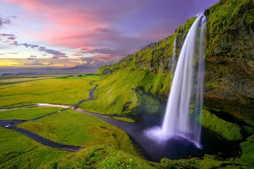 Foto auf Acrylglas Lavendel Seljalandsfoss Iceland Waterfall, green pasture at sunset