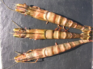 trois gambas crus sur une ardoise