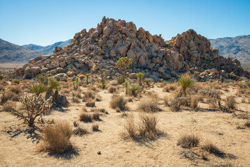 Rugged Landscape of Joshua Tree National Park, California
