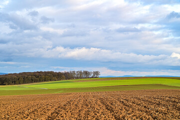 Winterliches Feld ohne Ansaat mit wolkenverhangenem Himmel bei Schweinfurt, Franken, Deutschland