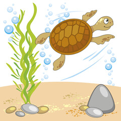 vector cartoon illustration of the underwater world with turtle, sandy bottom, rocks, algae, bubbles white background