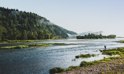 trees near the mountain river. Panorama of the morning view of the mystical forest in the fog, mountain landscape