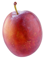 Fresh red plum isolated on transparent background